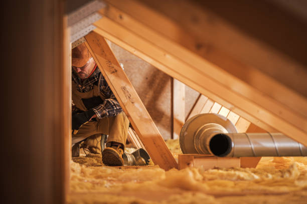 Air Duct Mold Removal